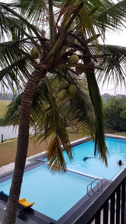 Grand Riverine Bed and Breakfast Kotugoda Εξωτερικό φωτογραφία